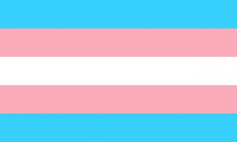 Faire des rencontres transgenres et transsexuelles sur internet : comment ça marche ?